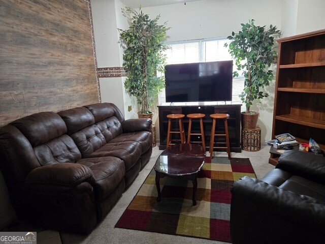 175 CHASTAIN Way Newnan - 12