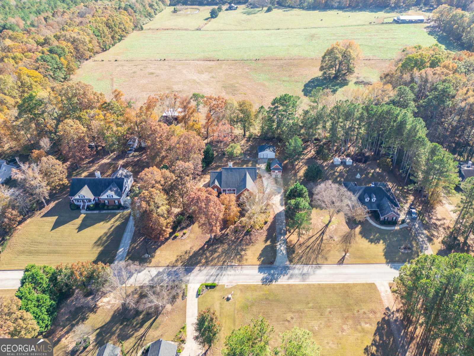 523 Barhams Ridge Drive Mcdonough - 56