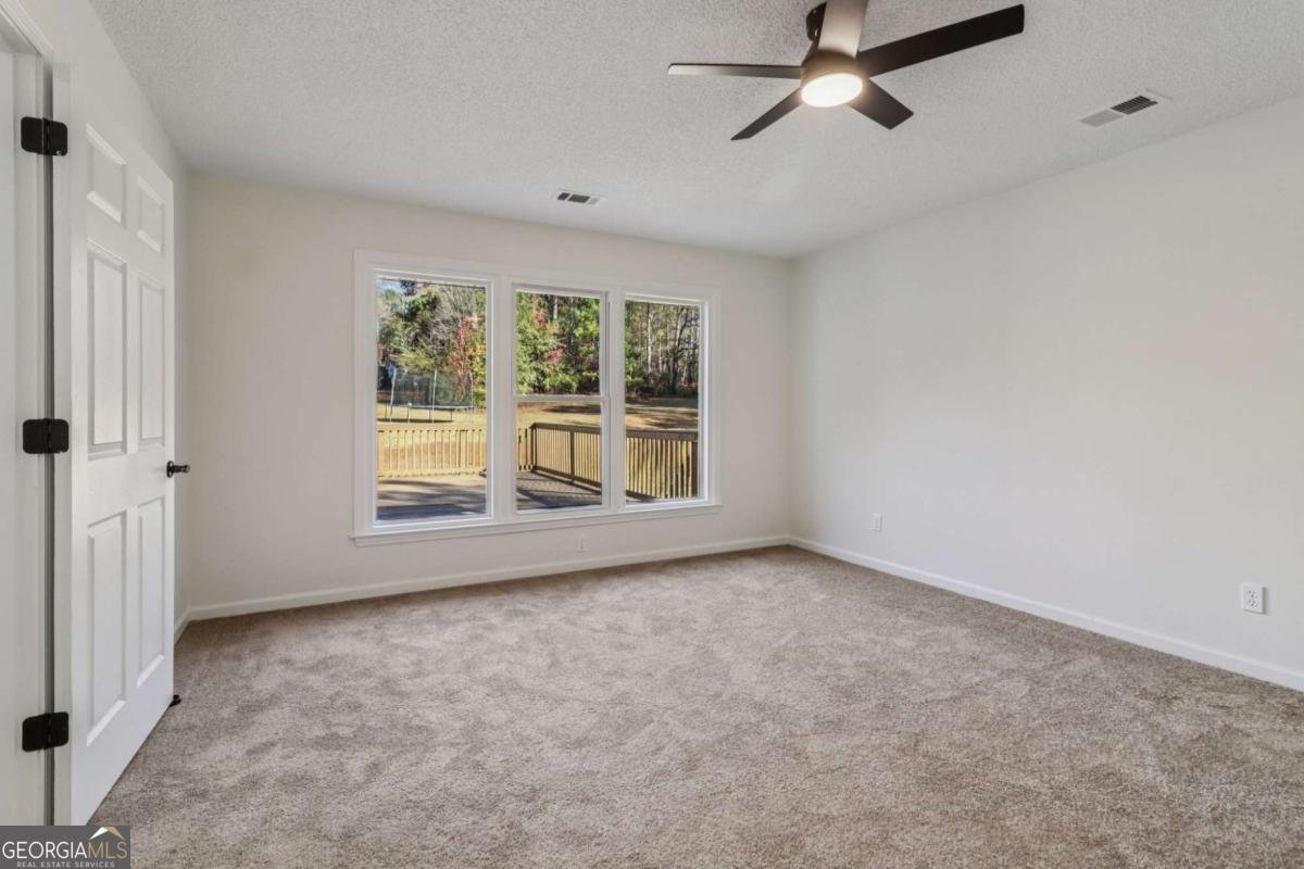 135 Willow Lake Lane Sharpsburg - 15