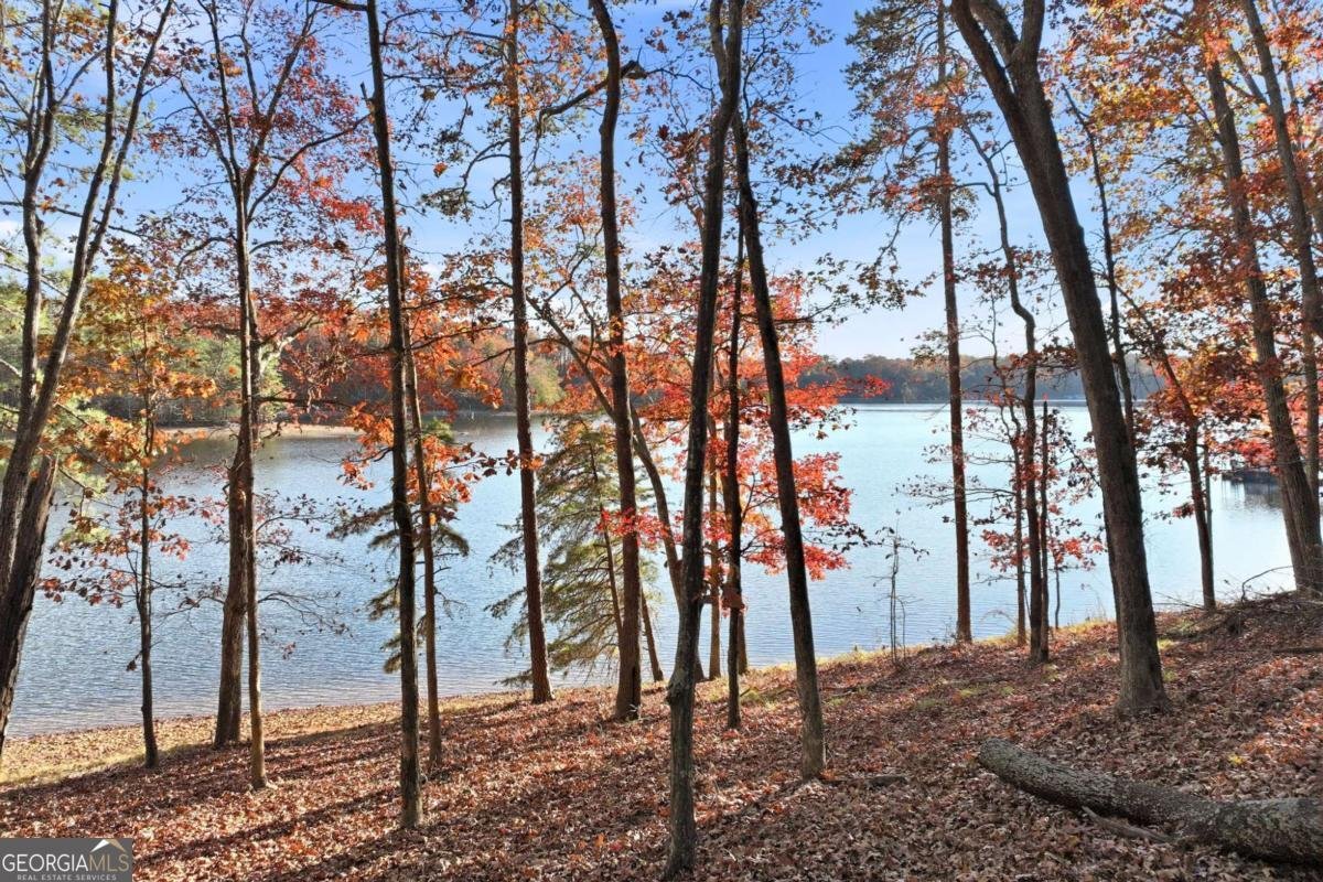 6435 BARBERRRY HILL Drive Gainesville - 17