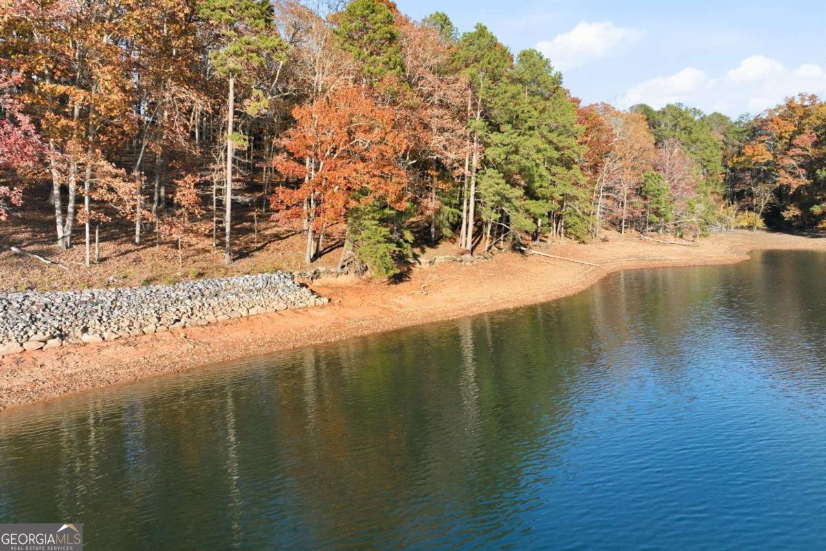 6435 BARBERRRY HILL Drive Gainesville - 9