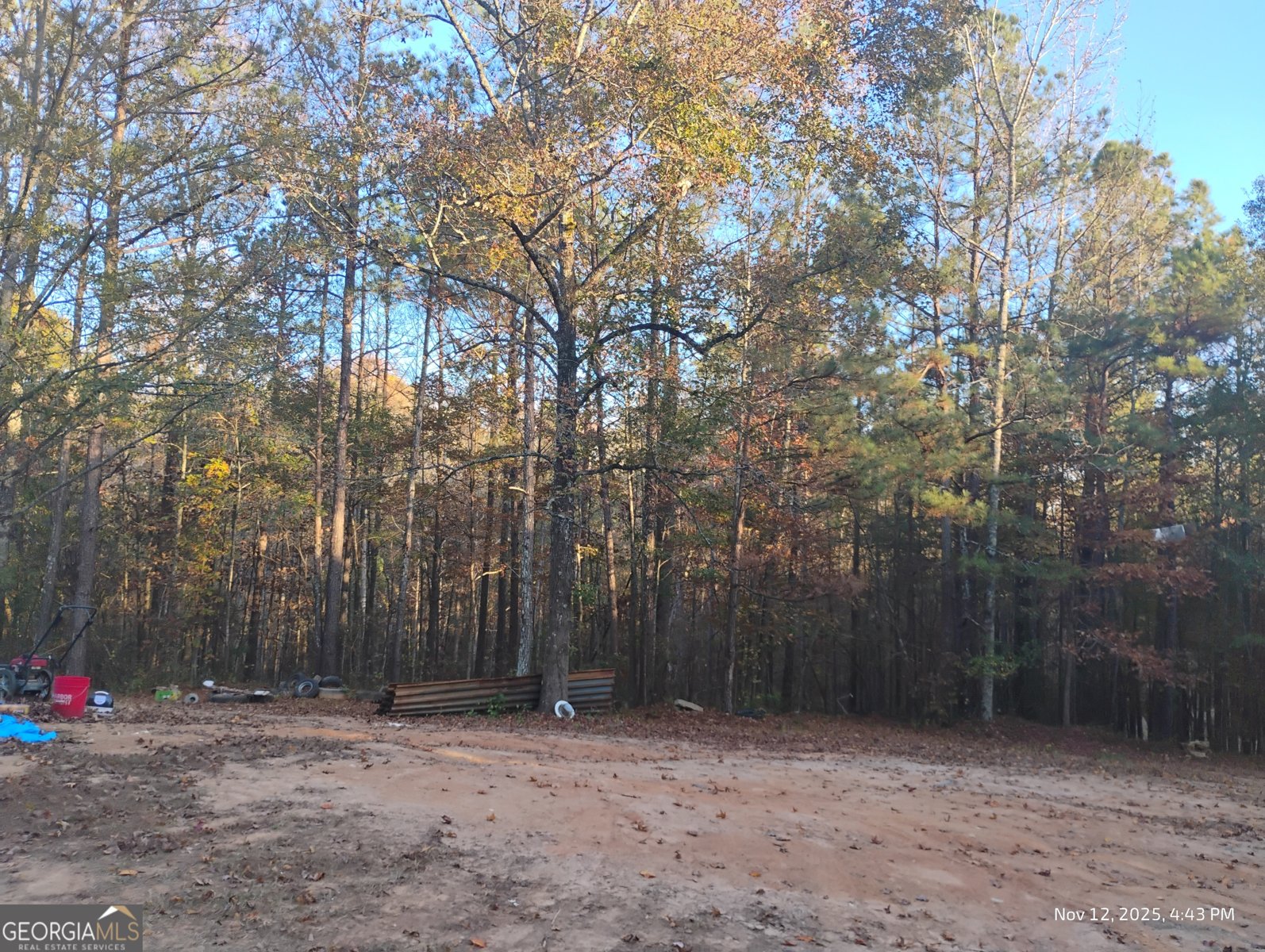 703 Central High Road Carrollton - 4