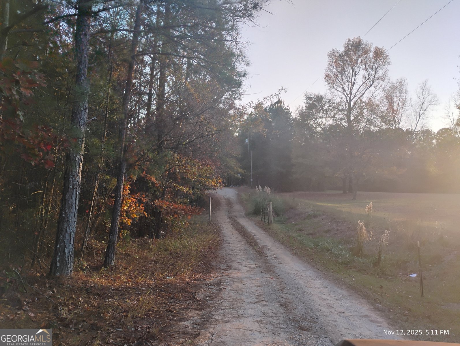 703 Central High Road Carrollton - 5