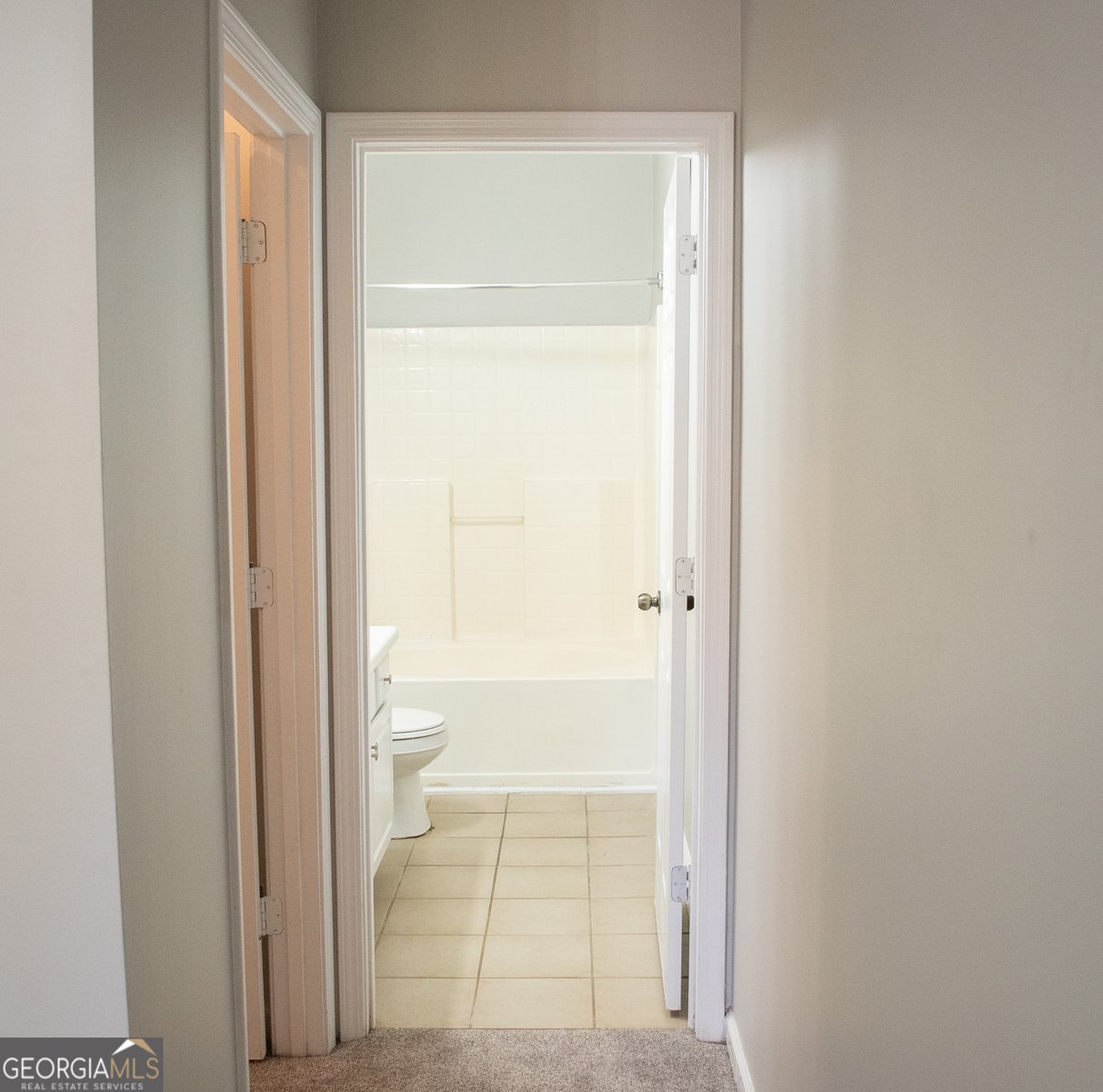 1695 Camden Forrest Trail Riverdale - 11