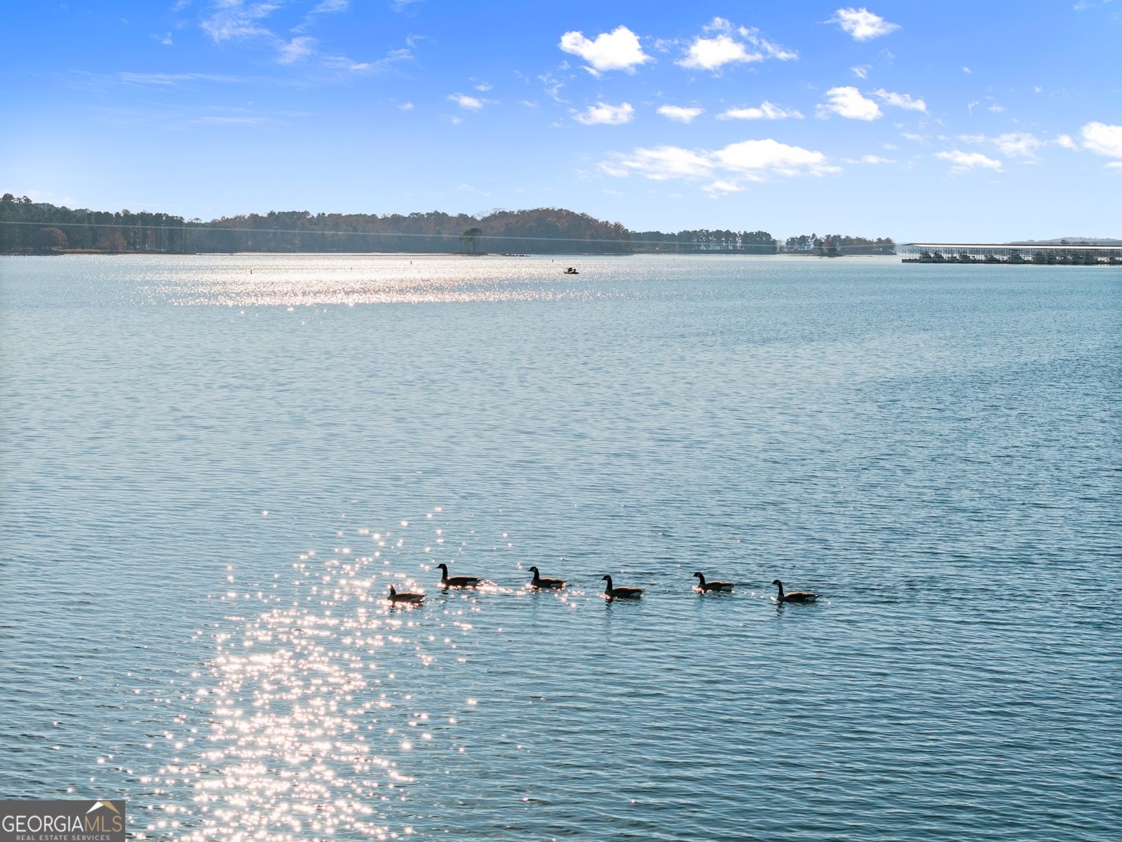 5431 Mayflower Court Gainesville - 62