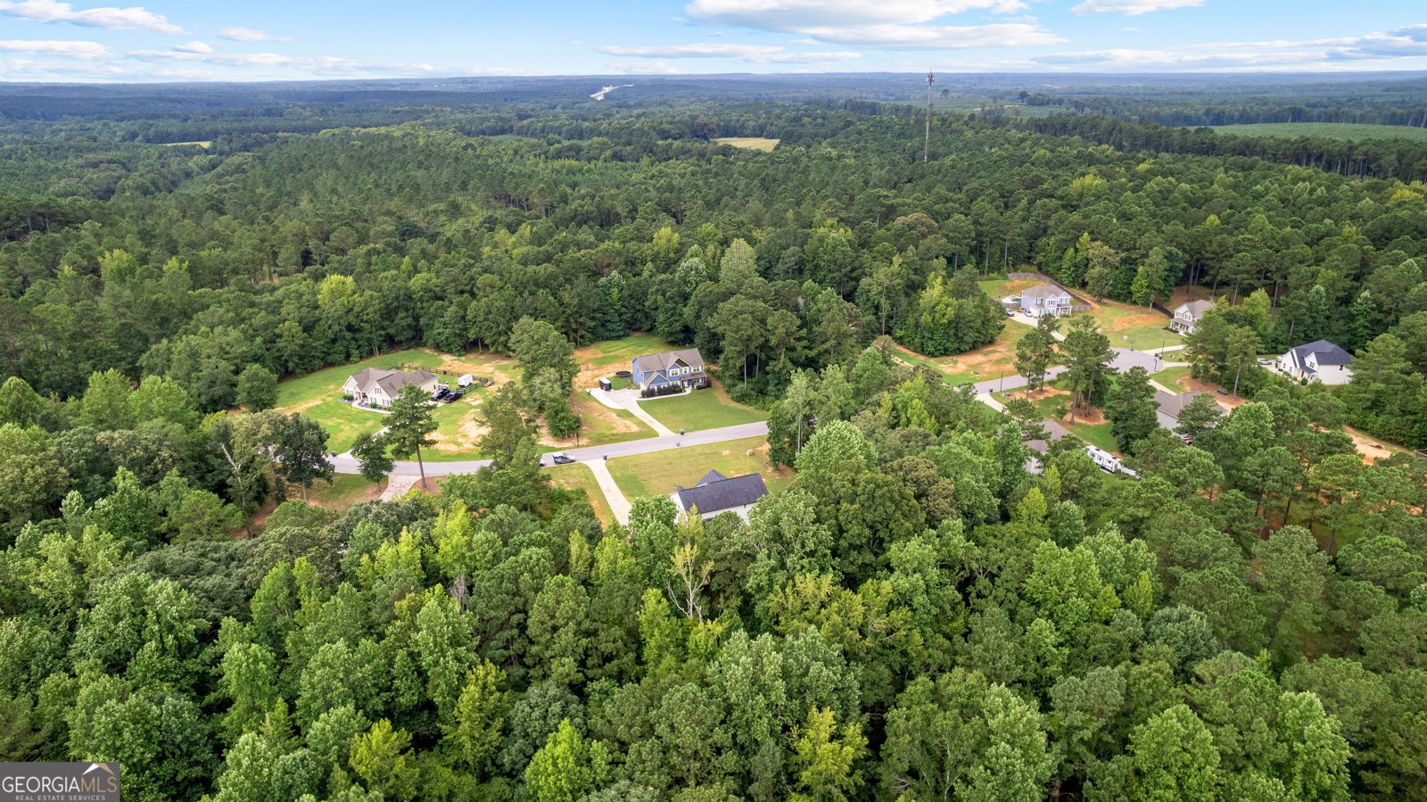 120 Delta Downs Court Hogansville - 66