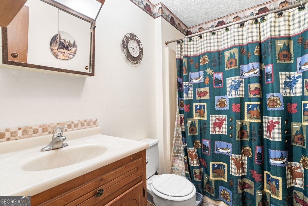 668 Tay Walk Way Hiawassee - 12