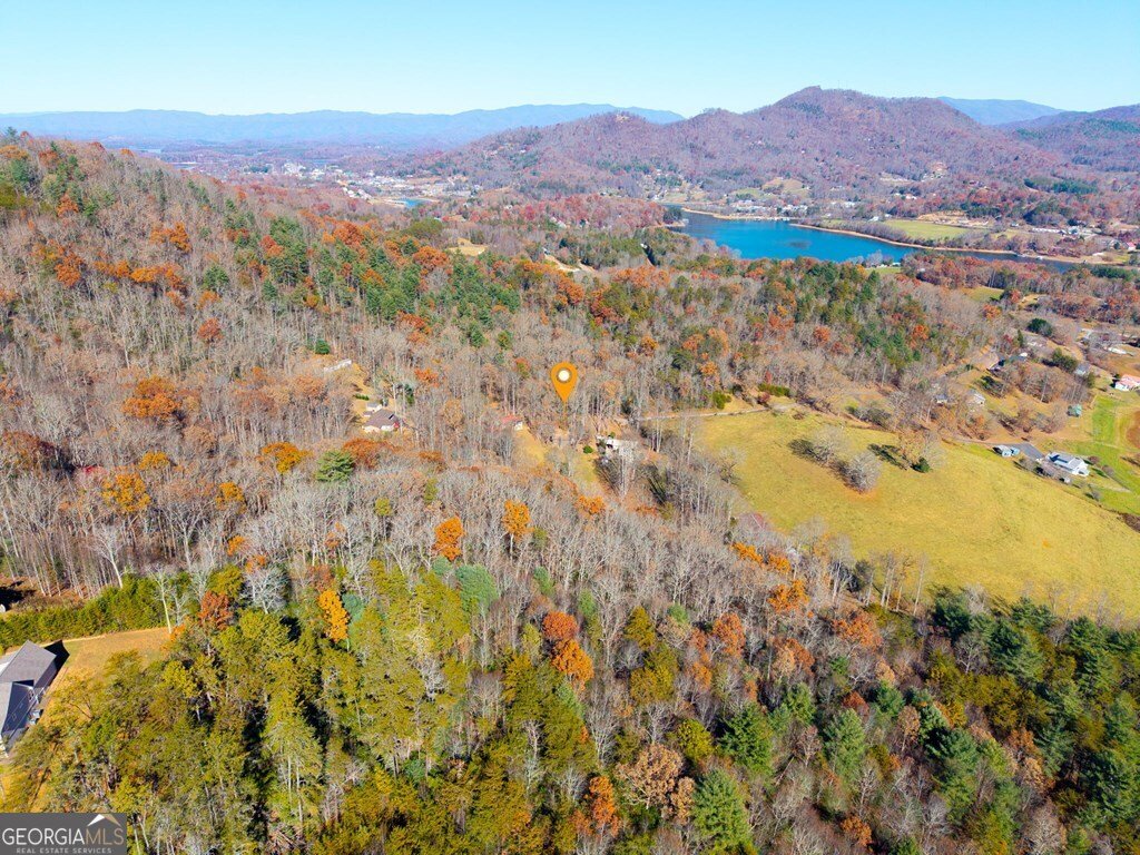 668 Tay Walk Way Hiawassee - 31
