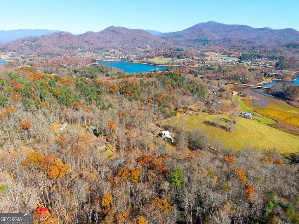 668 Tay Walk Way Hiawassee - 32