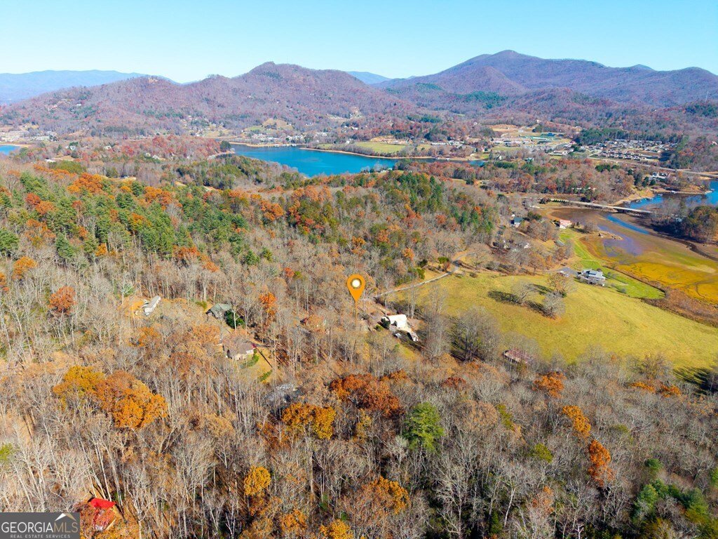 668 Tay Walk Way Hiawassee - 33