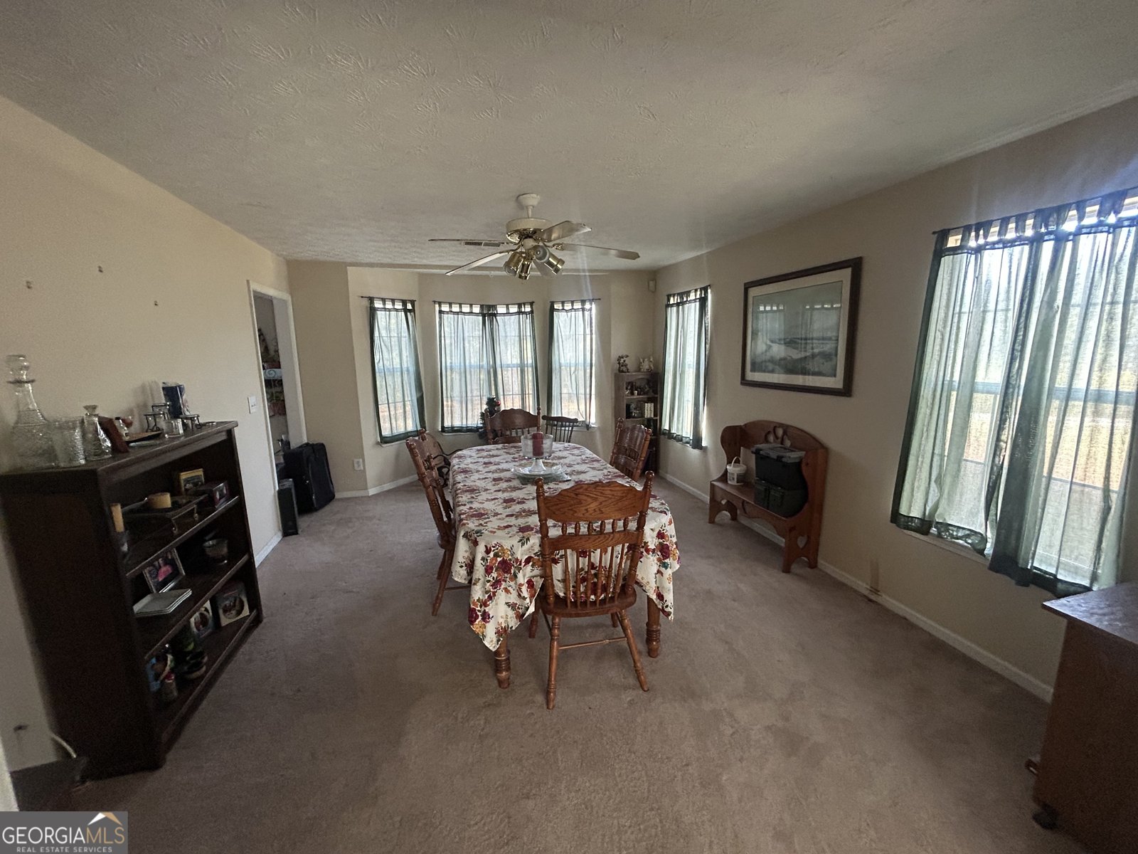 5667 Highway 81 Loganville - 8