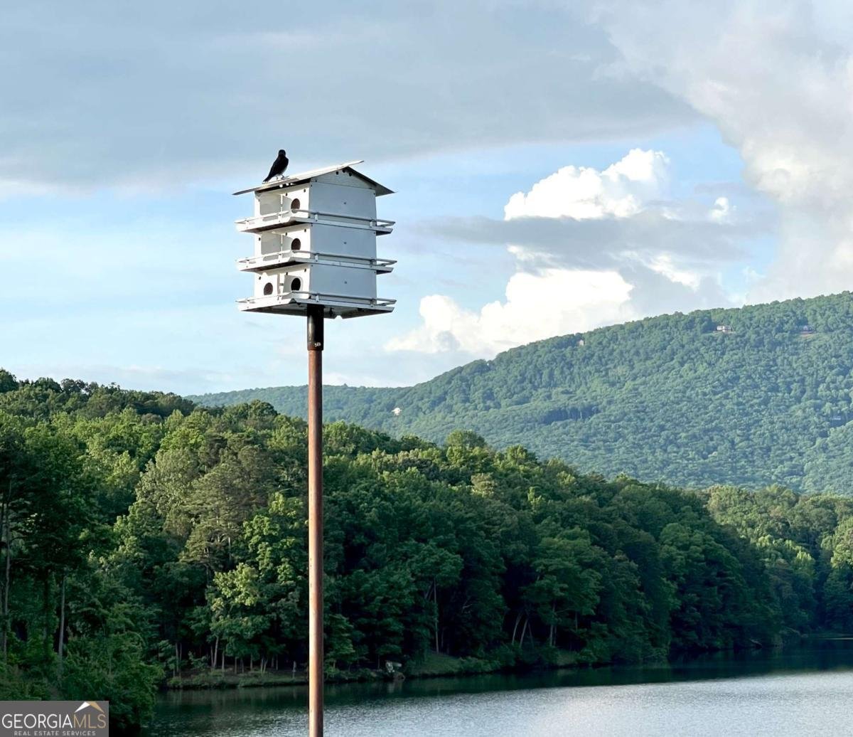 228 Sleepy Hollow Circle Jasper - 40