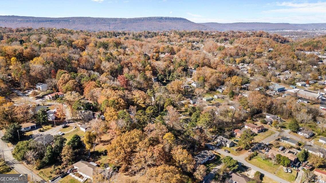 118 Alpine Drive Rossville - 25