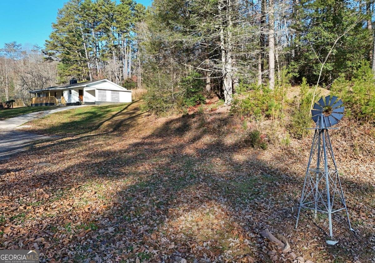 60 Weaver Creek Road Blue Ridge - 19