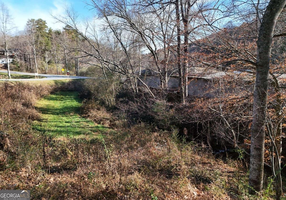 60 Weaver Creek Road Blue Ridge - 20