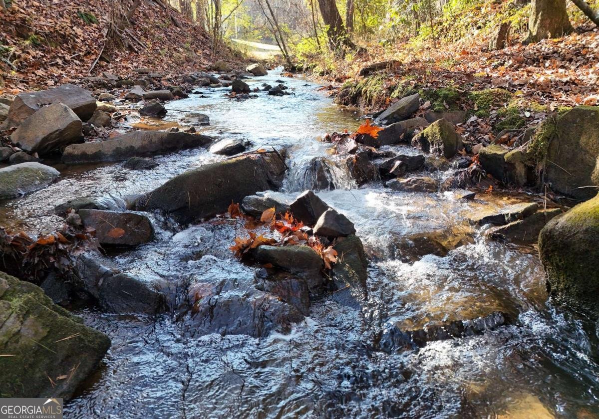 60 Weaver Creek Road Blue Ridge - 21