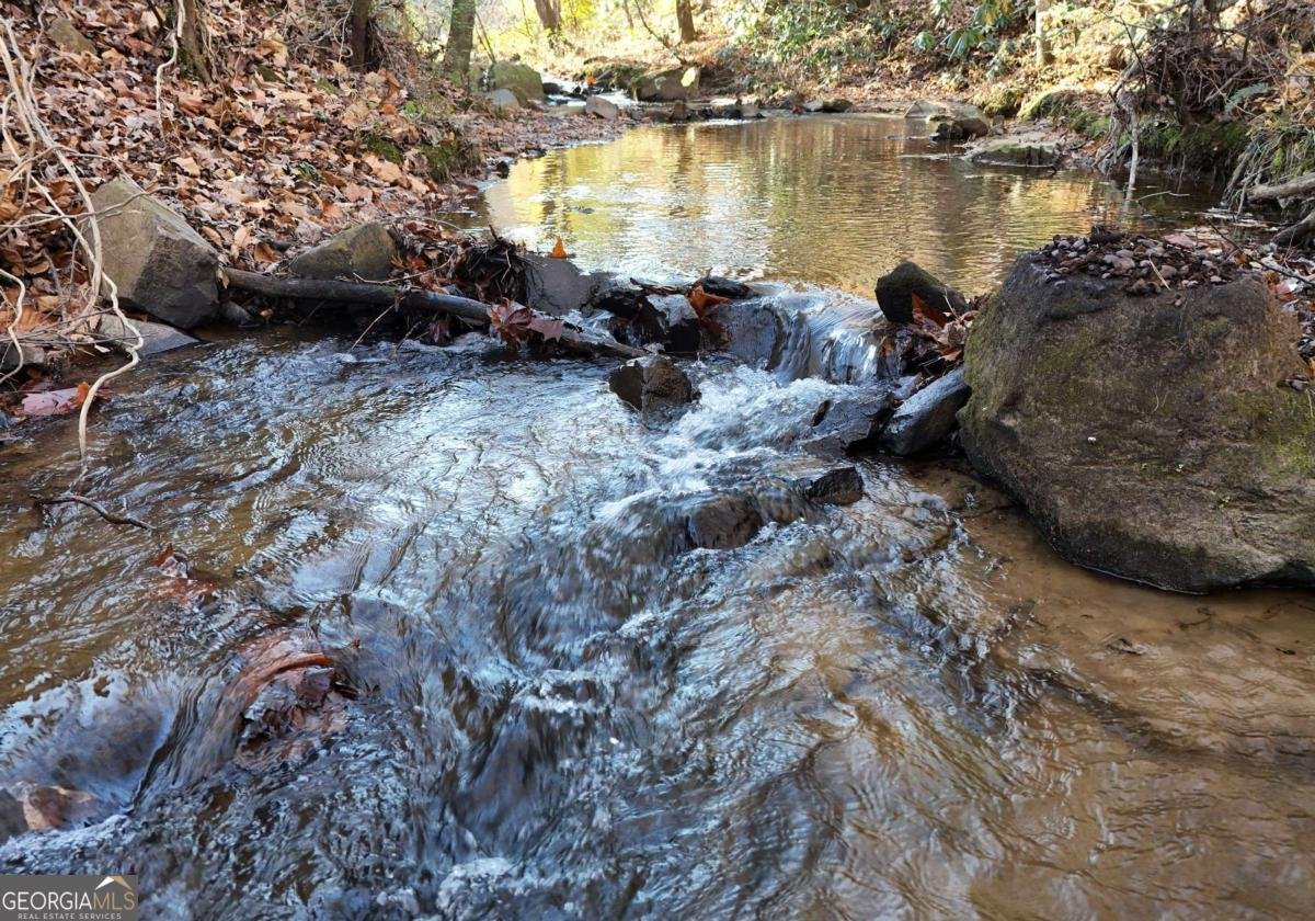 60 Weaver Creek Road Blue Ridge - 22