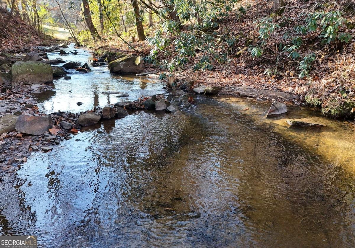 60 Weaver Creek Road Blue Ridge - 23