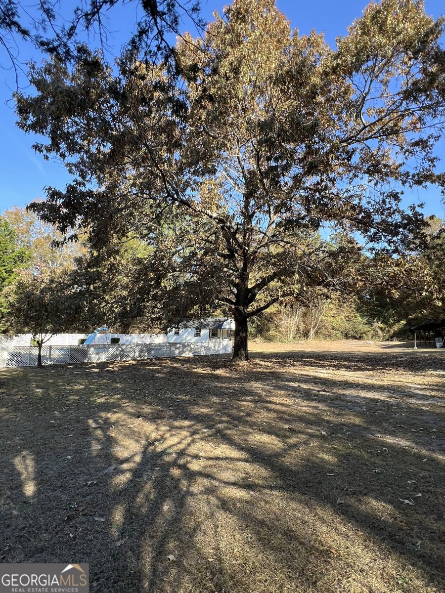 121 Wood Duck Road Cochran - 4