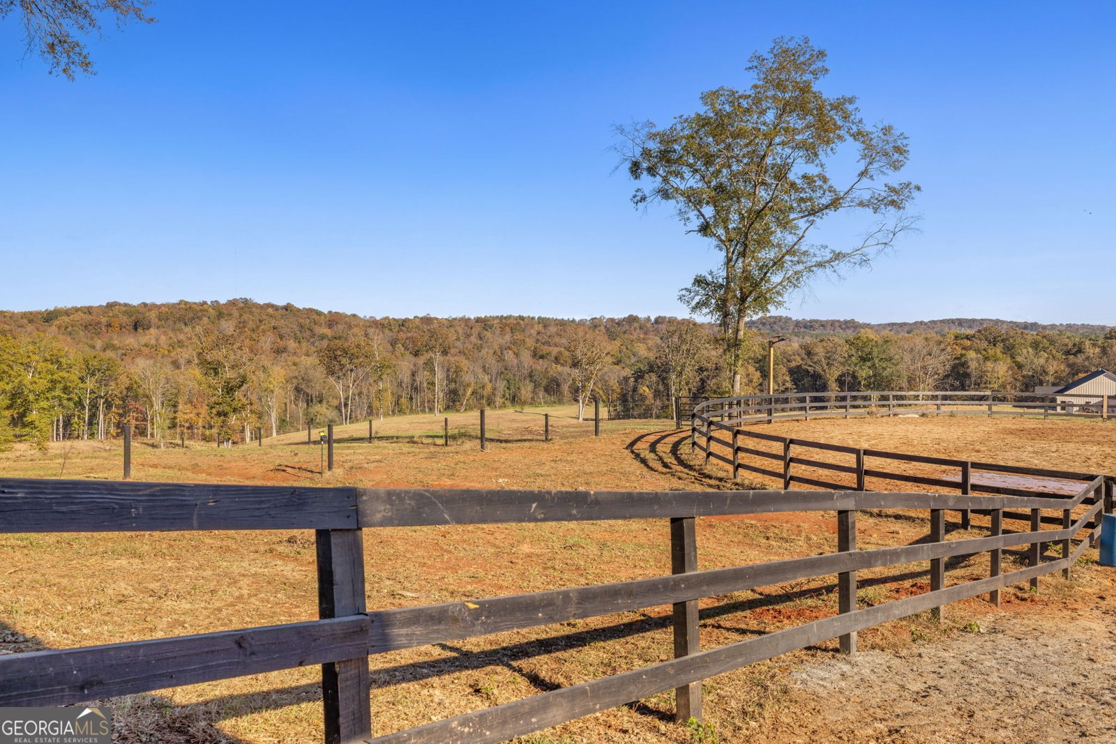 167 McCoy Bridge Road Homer - 37