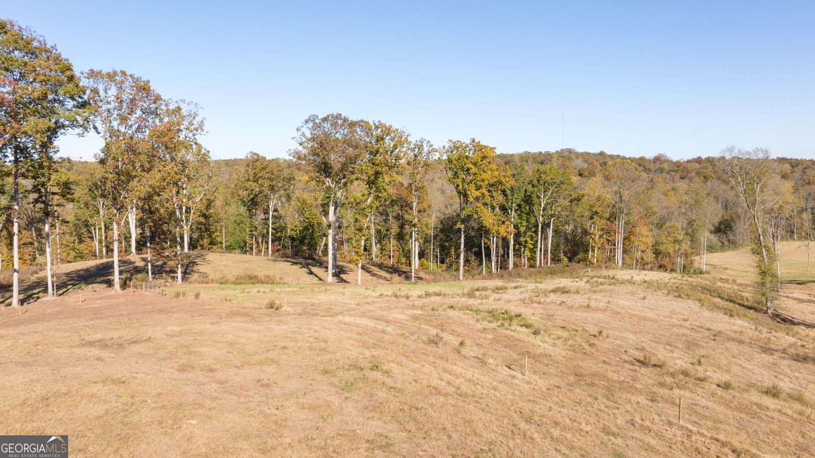 167 McCoy Bridge Road Homer - 45