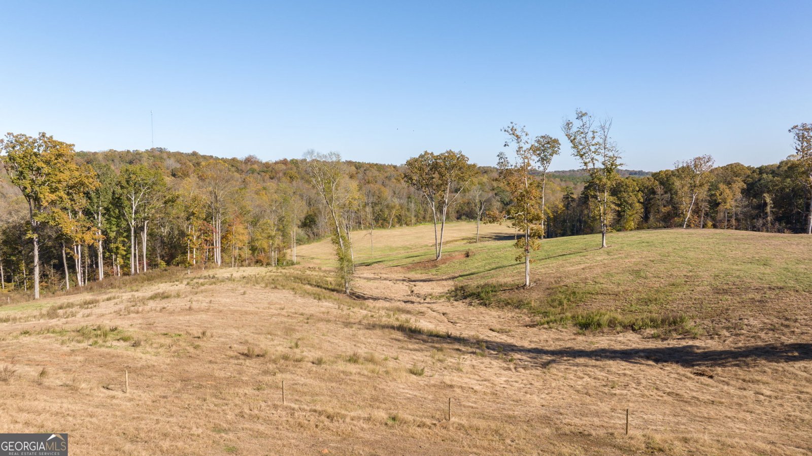 167 McCoy Bridge Road Homer - 46