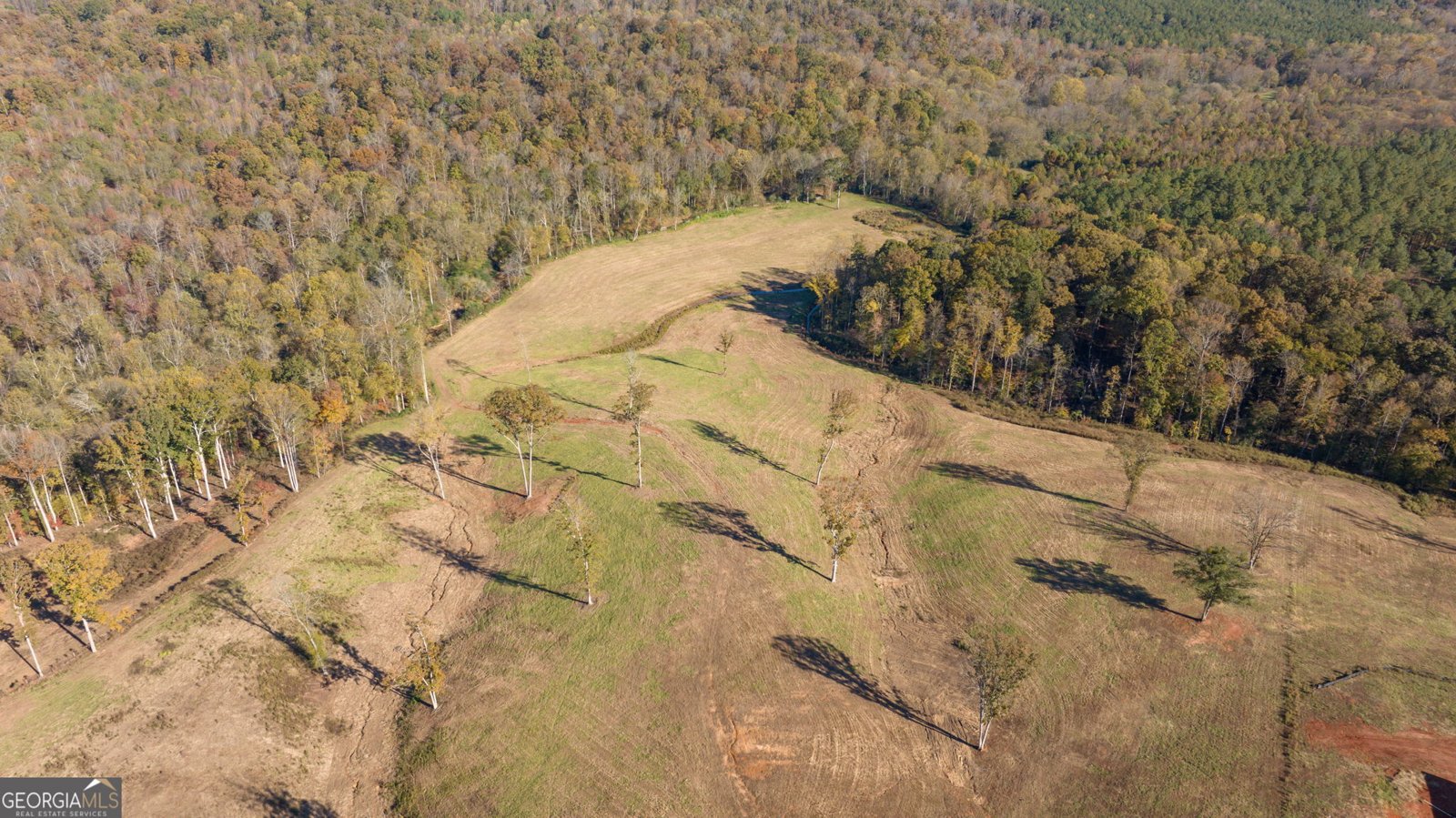 167 McCoy Bridge Road Homer - 56