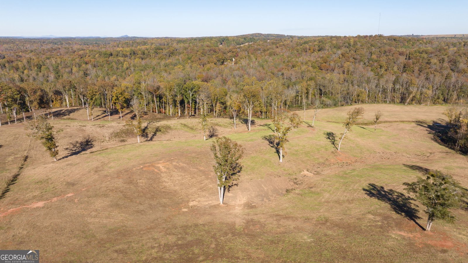 167 McCoy Bridge Road Homer - 57