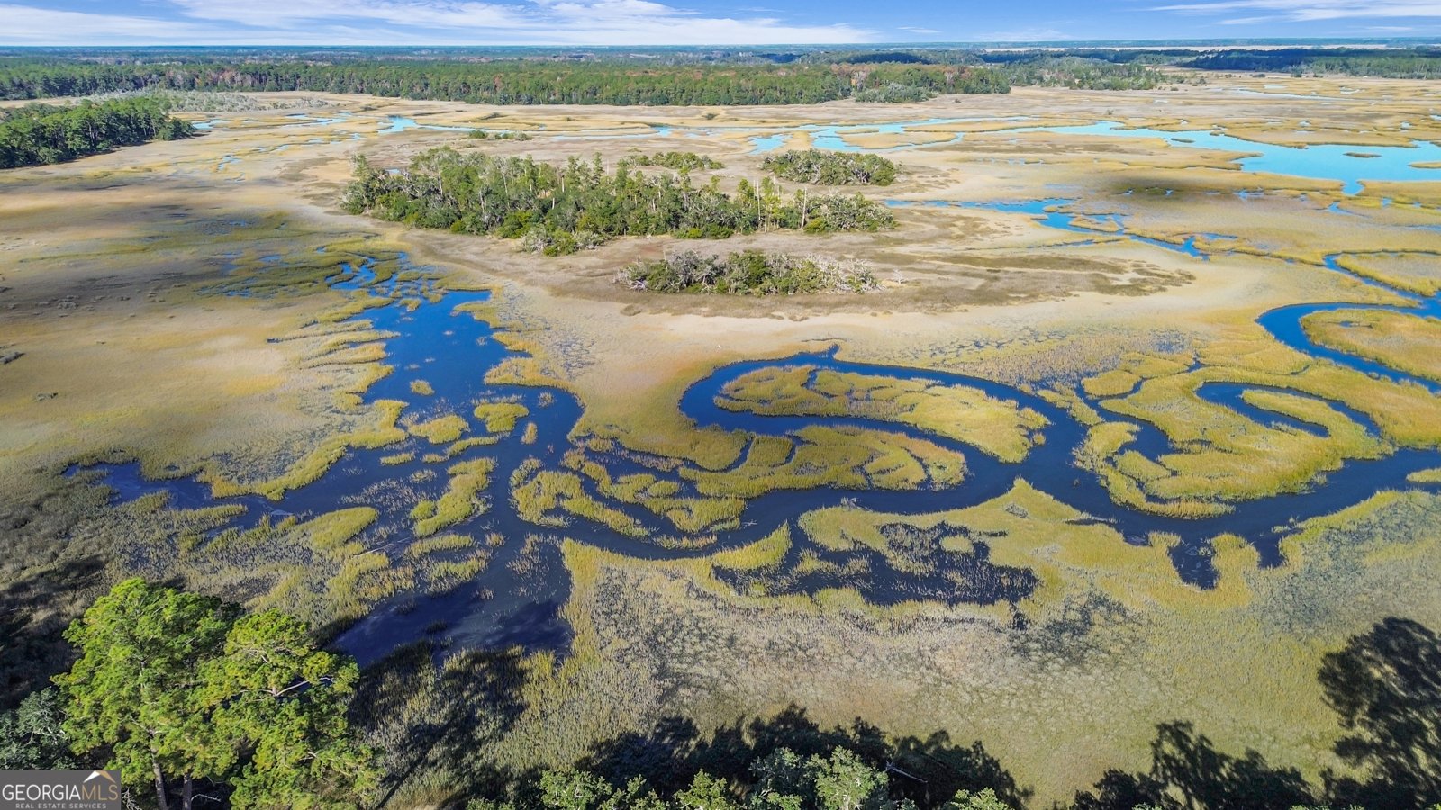 1261 Otter Slide Loop Townsend - 2
