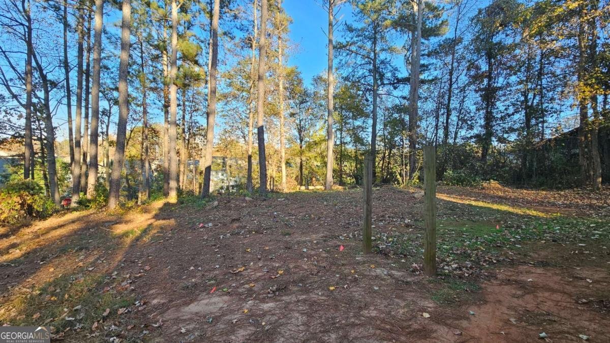 3290 Fowler Boulevard Lawrenceville - 38