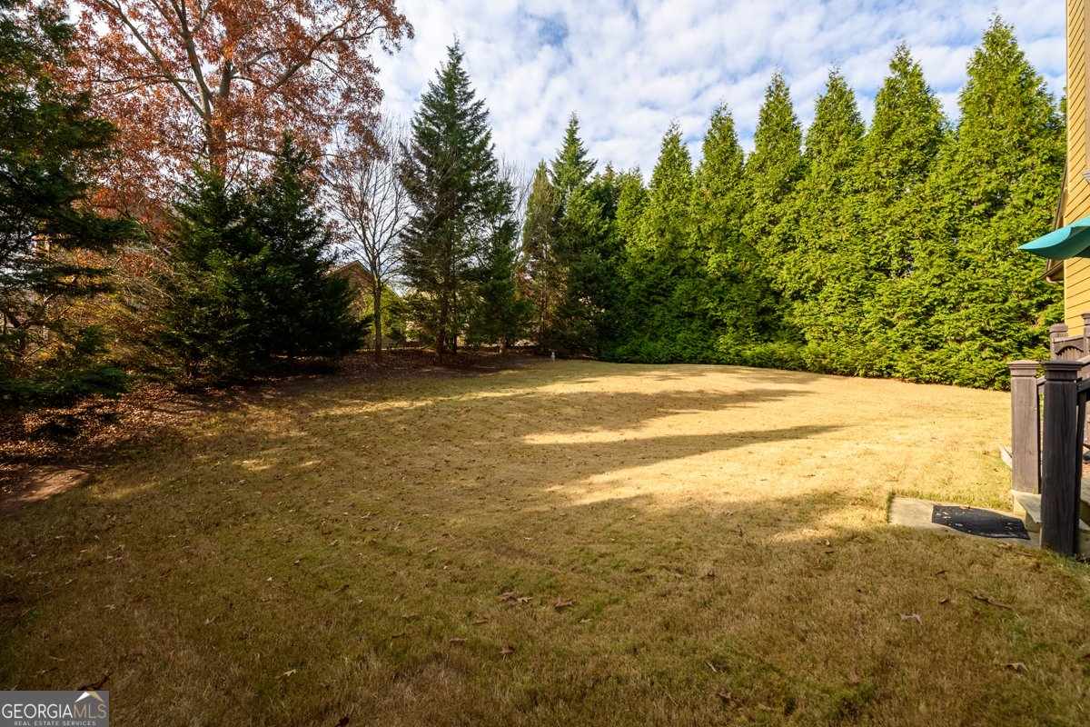 3496 RAVENS NEST Trail Buford - 34