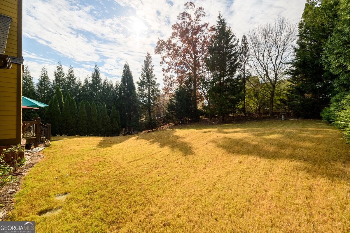 3496 RAVENS NEST Trail Buford - 35