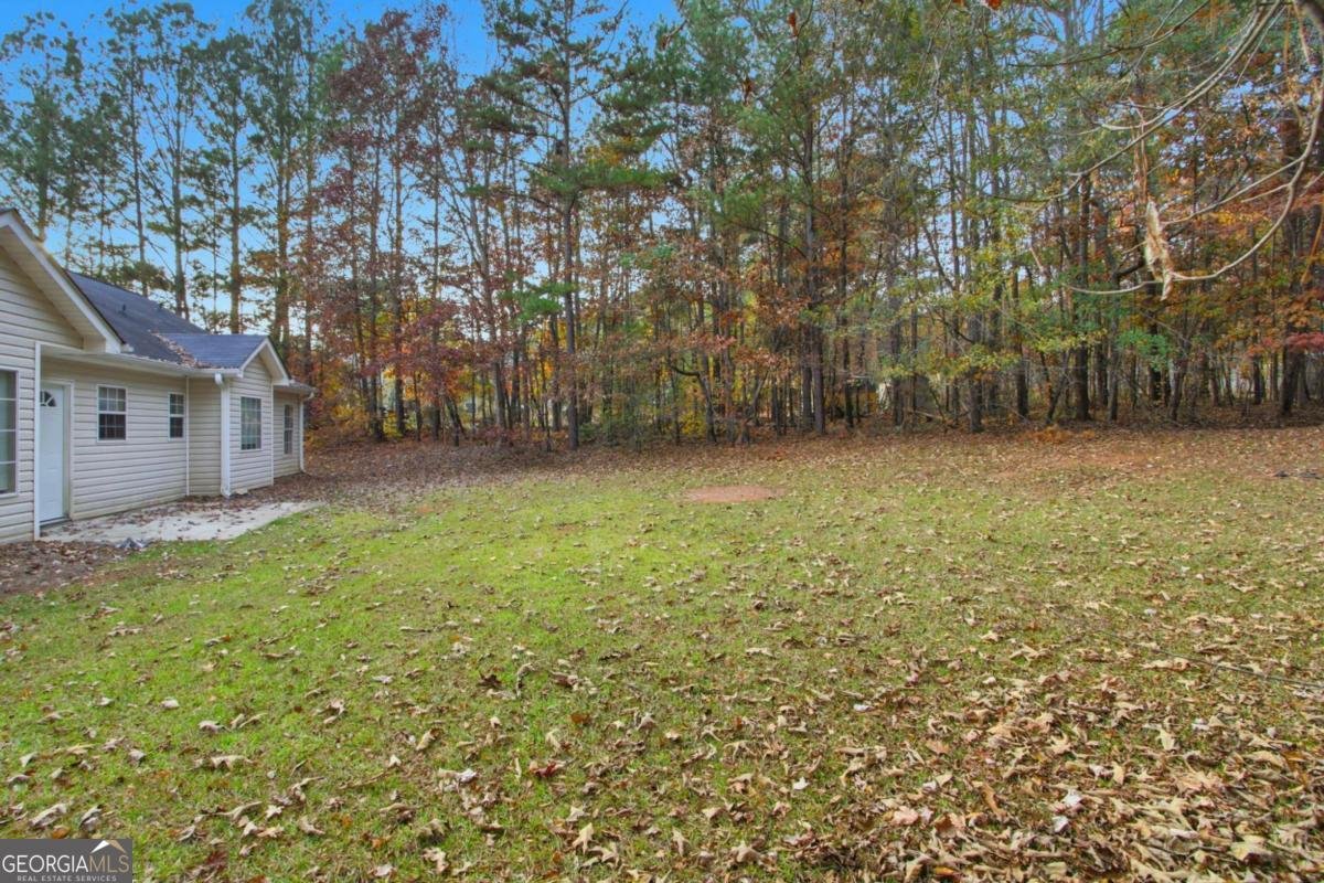 115 Mountainview Drive Covington - 22