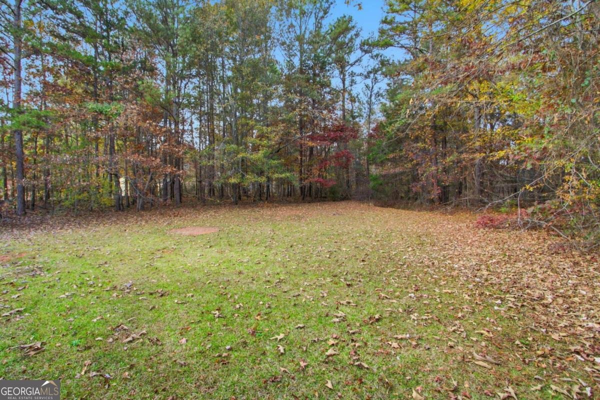 115 Mountainview Drive Covington - 23