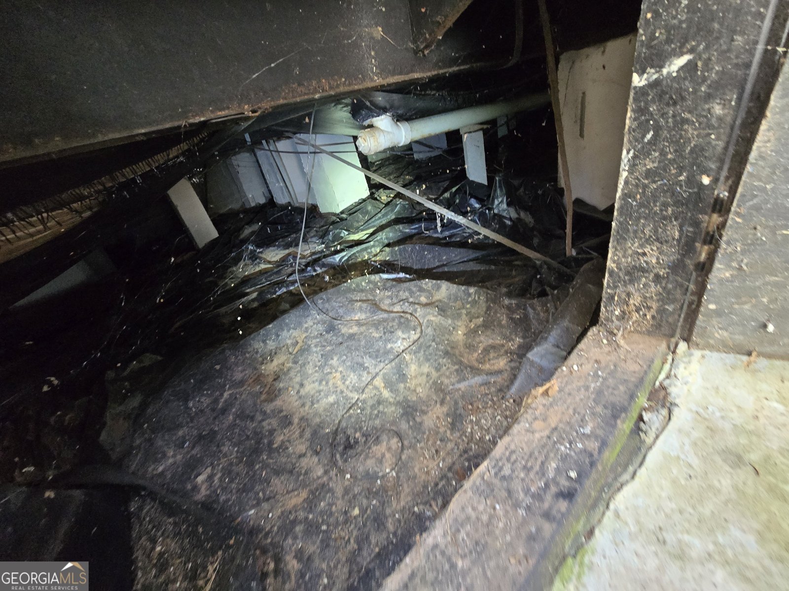 290 White Birch Drive Covington - 3