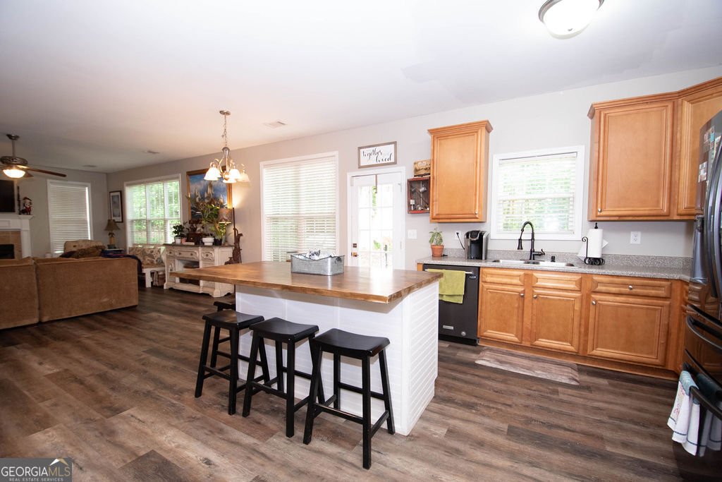 3005 Sarah Lane Griffin - 10