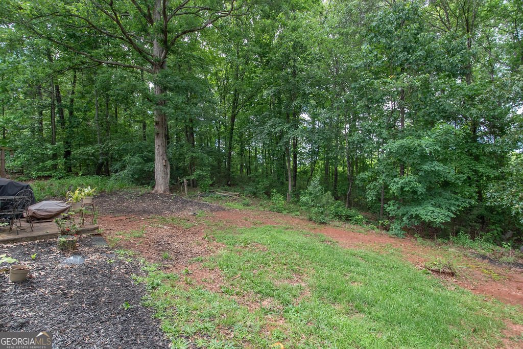 3005 Sarah Lane Griffin - 34