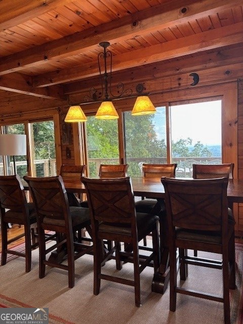 103 Sunrise Terrace Jasper - 11