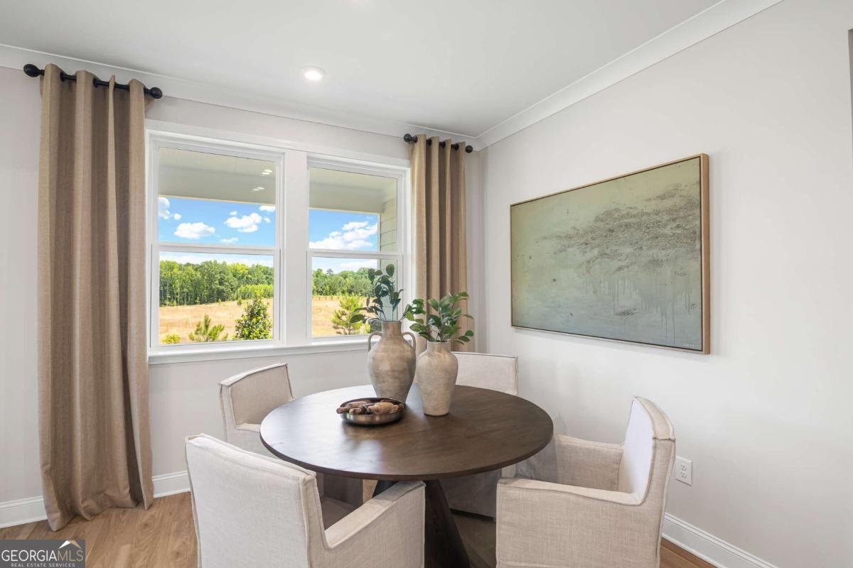 248 Nesta Grove Locust Grove - 8