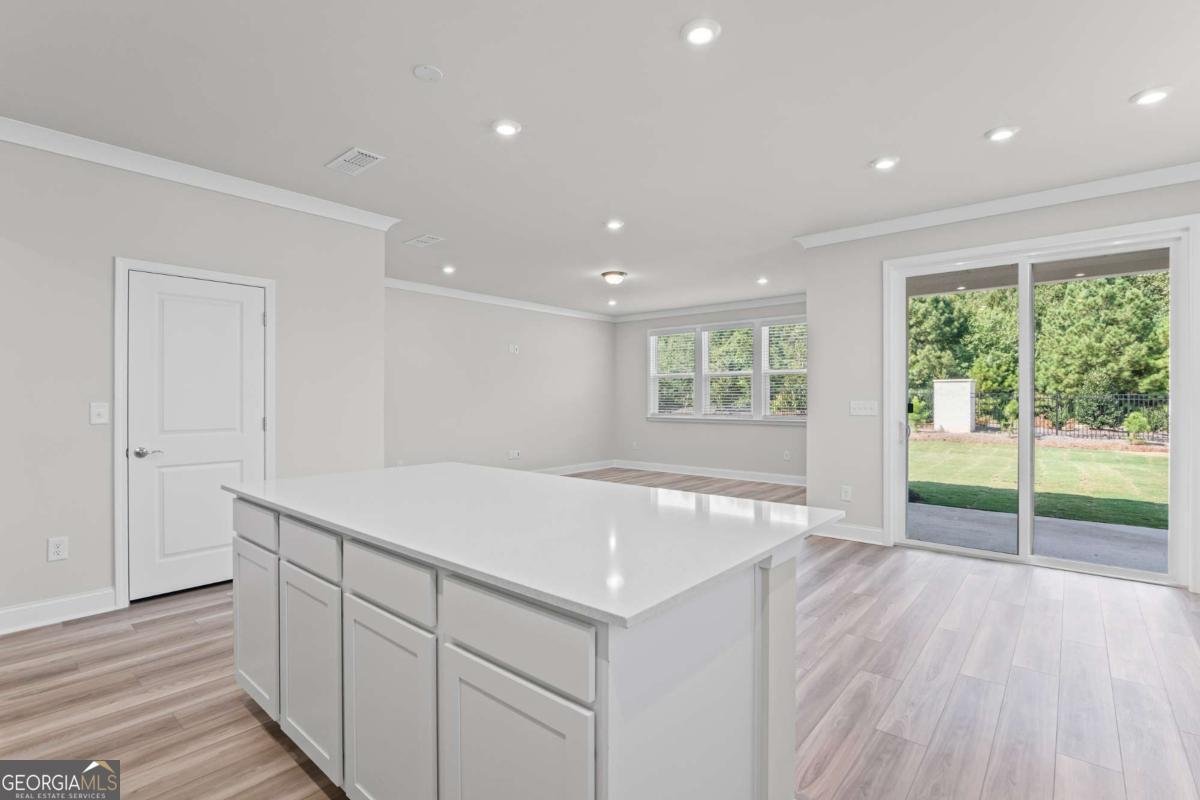 244 Nesta Grove Locust Grove - 5