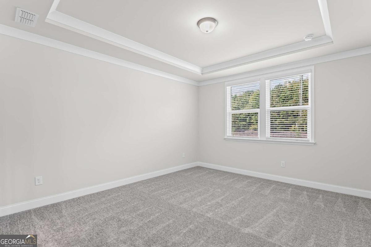 244 Nesta Grove Locust Grove - 9