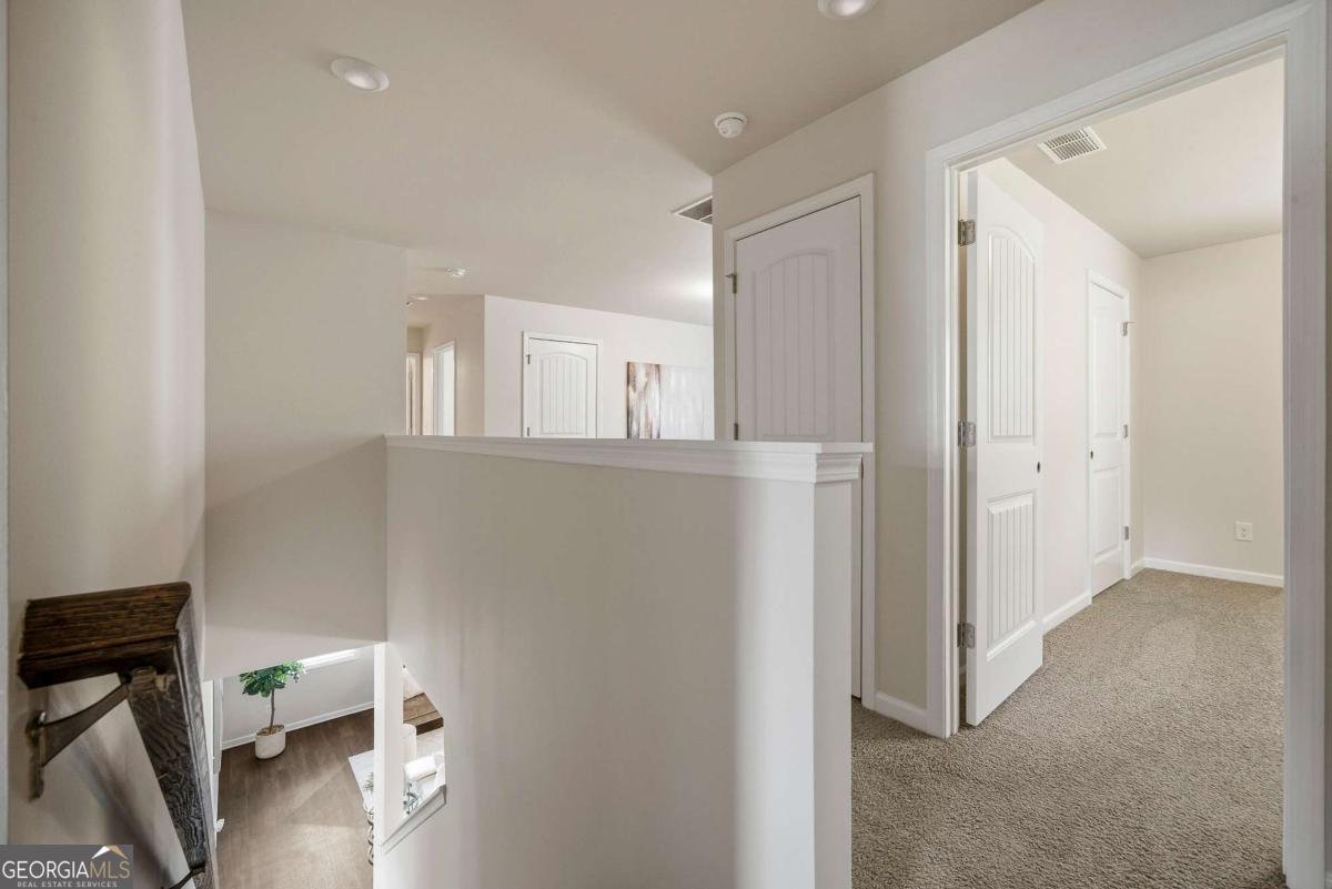 6561 Bluffview Drive Douglasville - 21