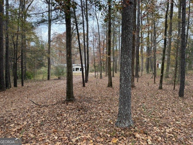 780 Gardner Road Stockbridge - 1