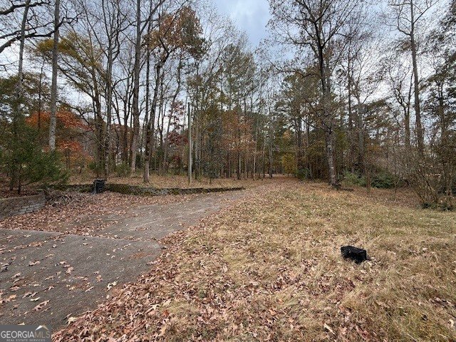 780 Gardner Road Stockbridge - 4