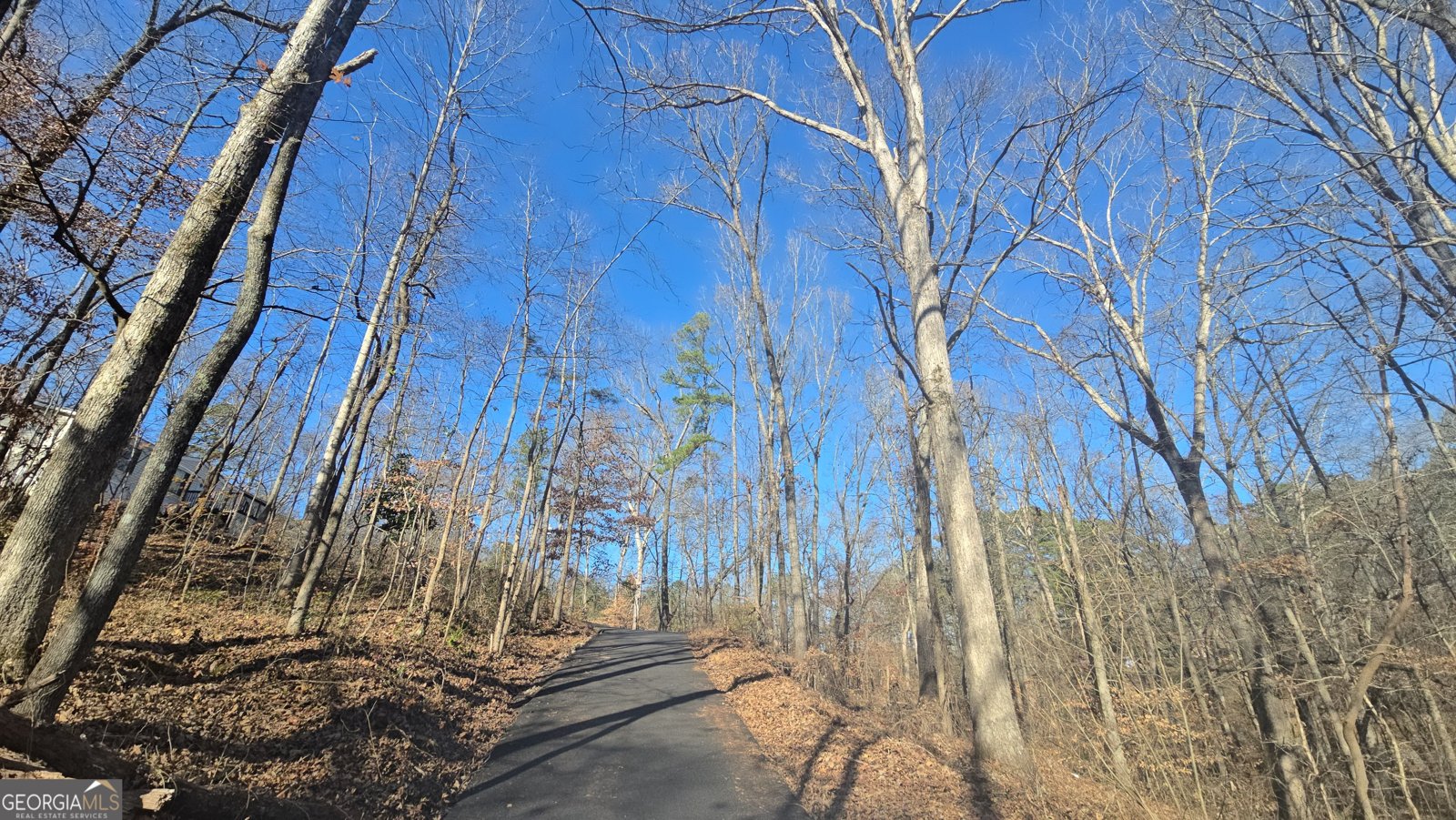 124 Puckett Road Emerson - 23