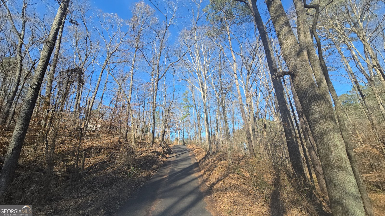 124 Puckett Road Emerson - 24