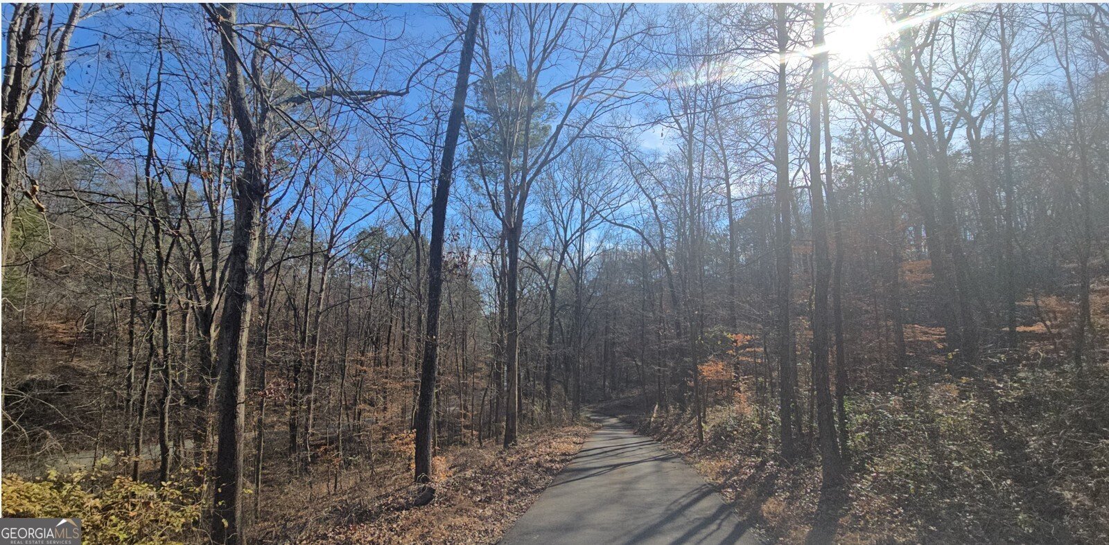 124 Puckett Road Emerson - 3