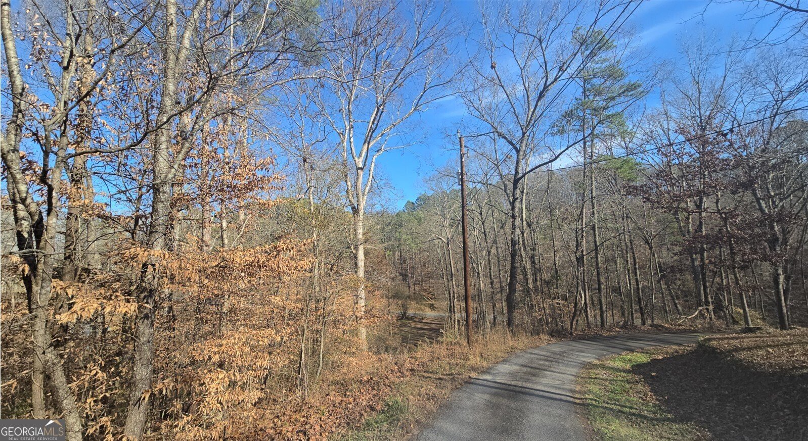 124 Puckett Road Emerson - 4