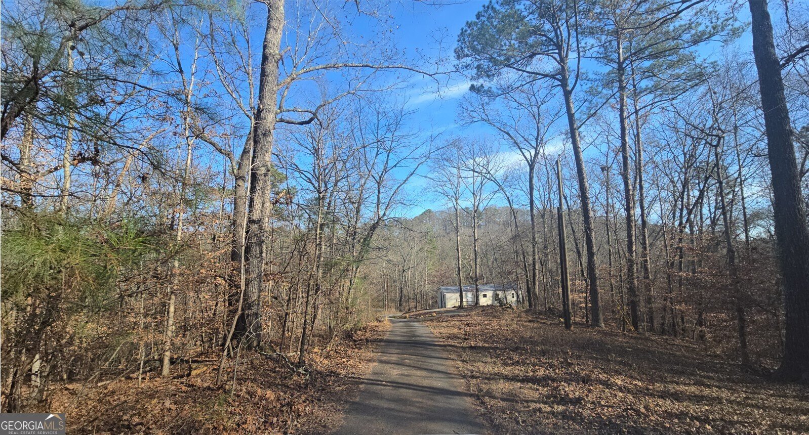 124 Puckett Road Emerson - 5