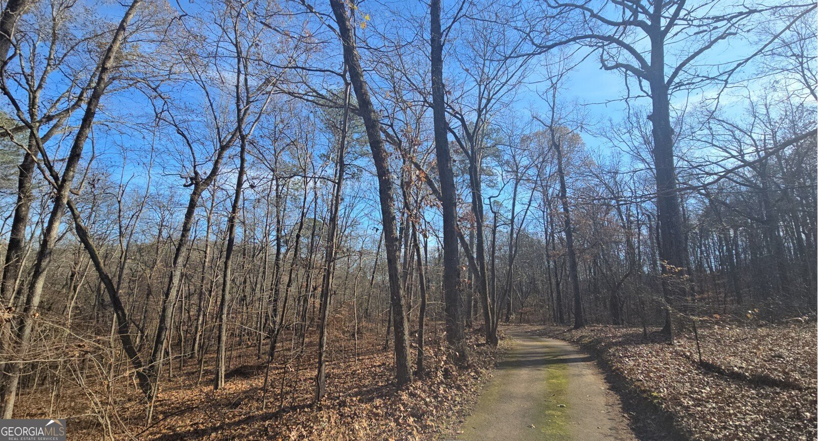 124 Puckett Road Emerson - 7